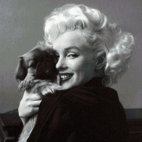 Marilyn con su Amigo