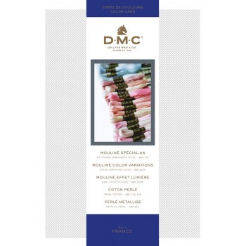 Nueva Carta de colores hilo mouline DMC W100B Carte de couleurs