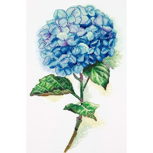 Hortensia Azul