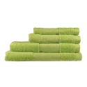 Toalla de Lavabo Rizo verde pistacho Terry Towel TPC50100PIS
