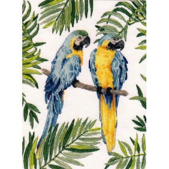 Guacamayos Azules y Amarillos Oven 1348 Blue and Yellow Macaw