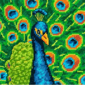 Kit Medio Punto Pavo Real (NP) Dimensions 71-07242 Colorful Peacock needlepoint kit