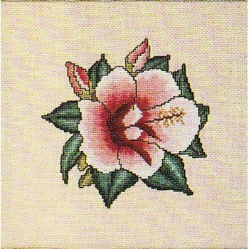 Gráfico Punto de Cruz Flor de Hibiscus The Hearts Content 46 flower cross stitch chart
