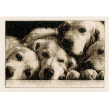 Tiernos Cachorros de Labrador Vervaco PN-0154541 labradors
