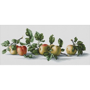 Bodegón de Manzanas Luca-S B2265 Apples