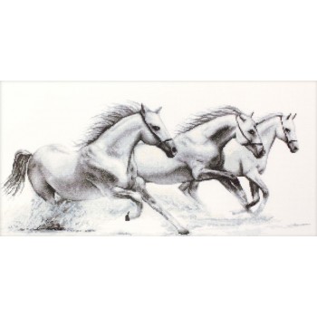 Caballos Blancos al Galope Luca-S B495 white horse