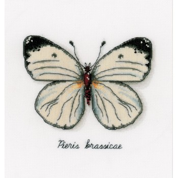 Kit Punto de Cruz Mariposa Blanca Vervaco PN-0165233 White Butterfly cross stitch kit