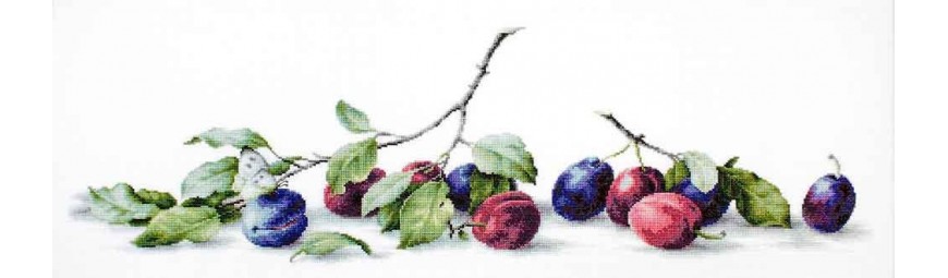 carolino Penetración Molestia Kits de punto de cruz para bordar frutas, verduras, bodegones